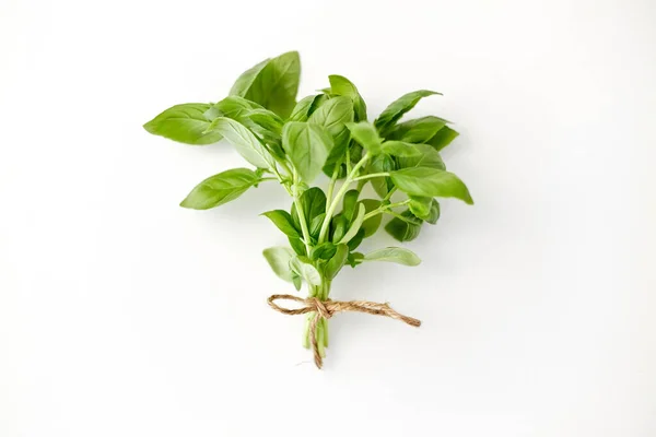 Bunch of basil on white background — Stock Photo, Image