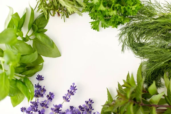 Greens, spices or medicinal herbs on white — Stockfoto