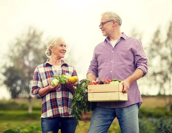 Pareja de ancianos con caja de verduras en la granja Imagen de stock
