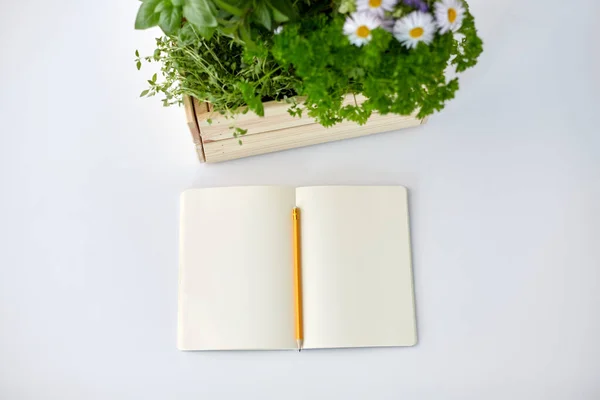 装有药草和木盒中花朵的笔记本 — 图库照片