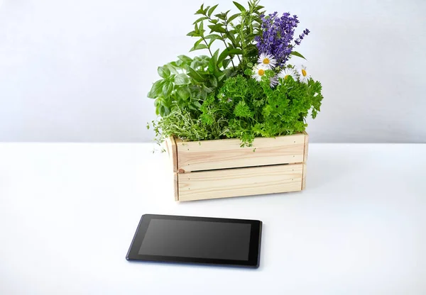 Tablet computer with herbs and flowers in box — Stok fotoğraf