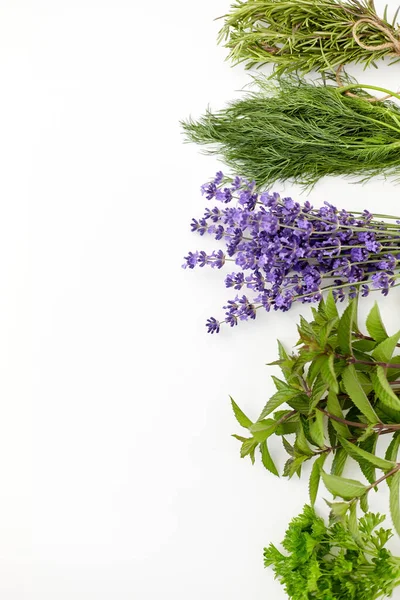 Greens, spices or medicinal herbs on white — Stockfoto