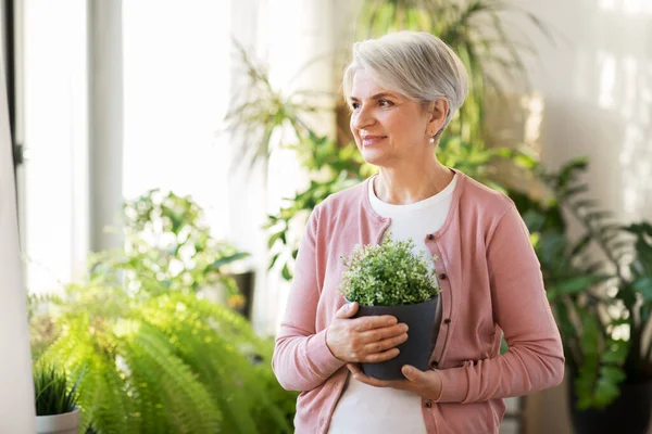 Mulher sênior feliz com flor no pote em casa — Fotografia de Stock