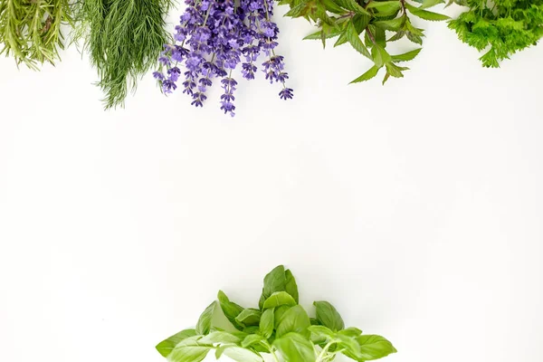 Greens, spices or medicinal herbs on white — 图库照片