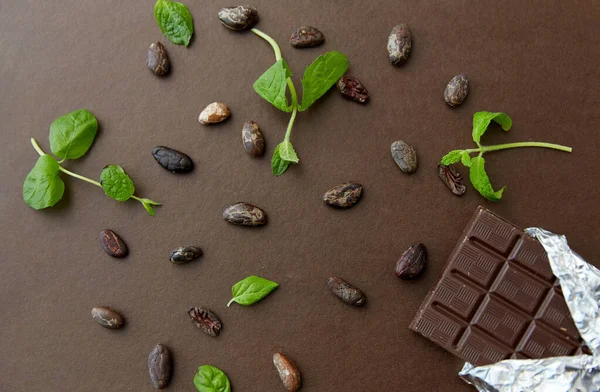 Coklat gelap bar dengan peppermint dan biji kakao — Stok Foto