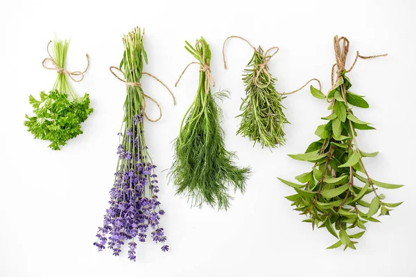 Greens, spices or medicinal herbs on white — Stock Photo, Image