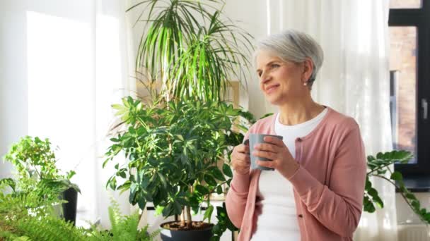 Glückliche Seniorin mit Tasse Tee zu Hause — Stockvideo