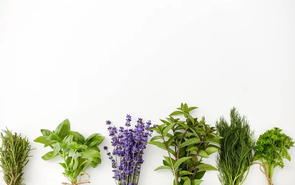 Greens, spices or medicinal herbs on white — Stockfoto