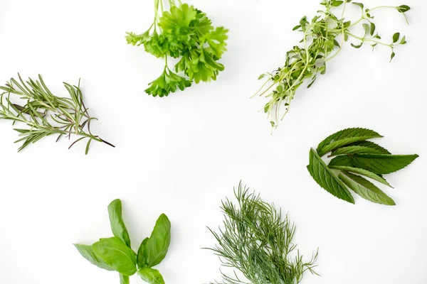 Greens, spices or herbs on white background — ストック写真