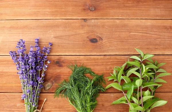Lavendel, Dill und Pfefferminze auf Holzgrund — Stockfoto