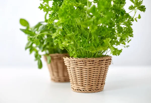 Close up of parsley herb in wicker basket — Stock Photo, Image