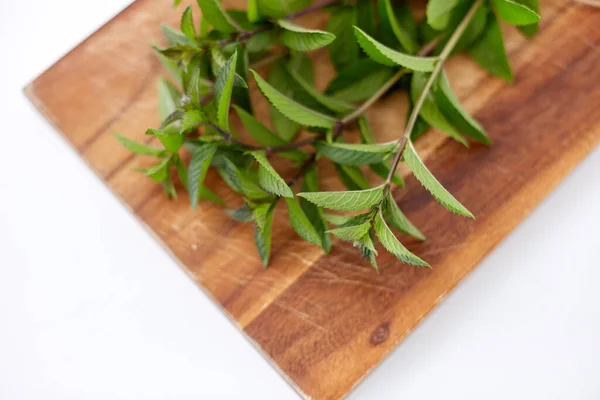 Bunch of fresh peppermint on wooden cutting board — Stock Photo, Image