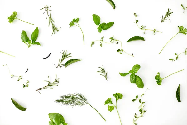 Greens, spices or herbs on white background — Stockfoto