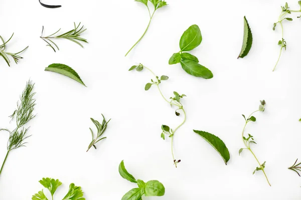 Greens, spices or herbs on white background — Stok fotoğraf