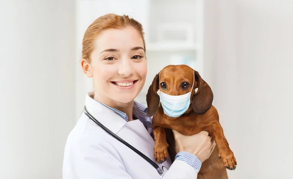 Doctor with dog in medical mask at vet clinic — Stock Photo, Image