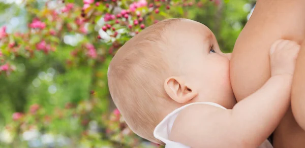 Gros plan de la mère qui allaite son bébé — Photo