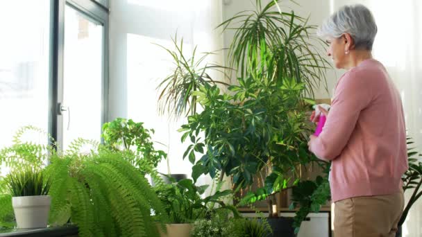 Boldog idős nő permetező szobanövények otthon — Stock videók
