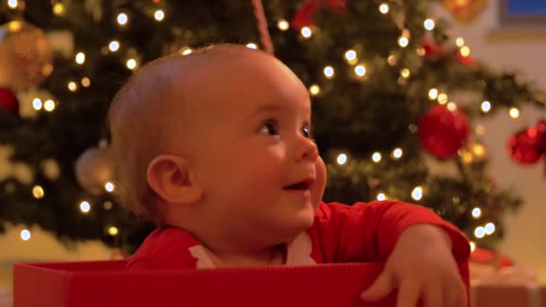 Niña sentada en caja de regalo sobre el árbol de Navidad — Vídeo de stock