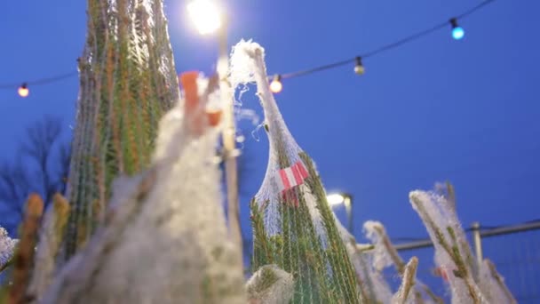 Рождественская елка на рынке в вечернее время — стоковое видео