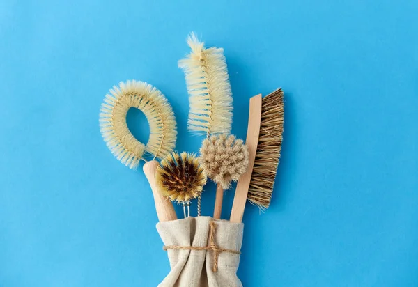 Mavi arkaplanda farklı temizlik fırçaları — Stok fotoğraf