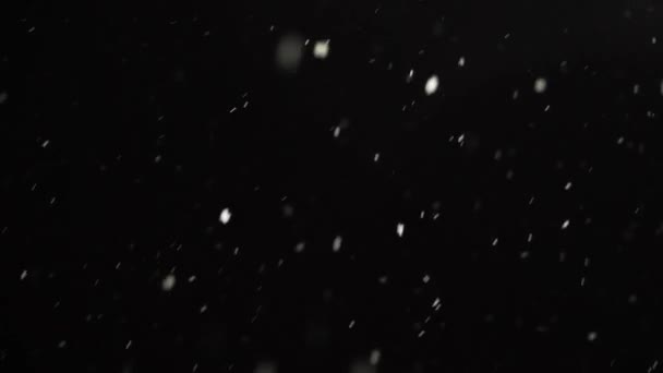 Nieve cayendo sobre el oscuro cielo nocturno en invierno — Vídeo de stock