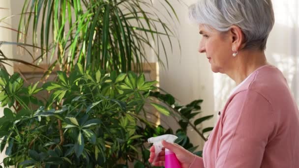Feliz mujer mayor rociando plantas de interior en casa — Vídeo de stock