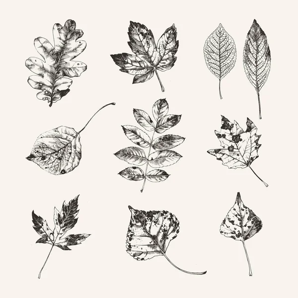 elle çizilmiş sonbahar yaprakları