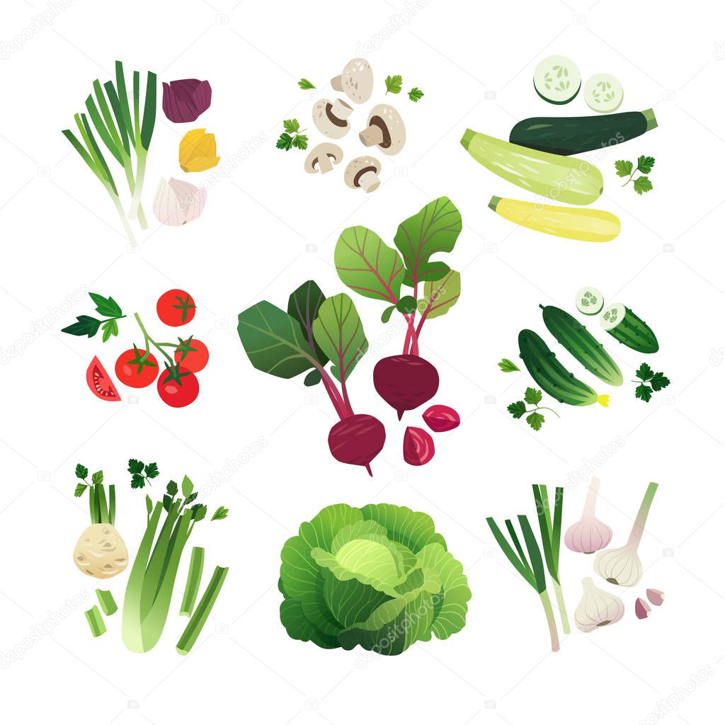 Vegetable set with onion, mushroom, zucchini, tomato, beetroot, cucumbers, celery, green cabbage and garlic