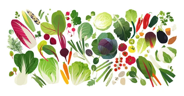 野菜やハーブのアイコン 食品の背景 — ストックベクタ