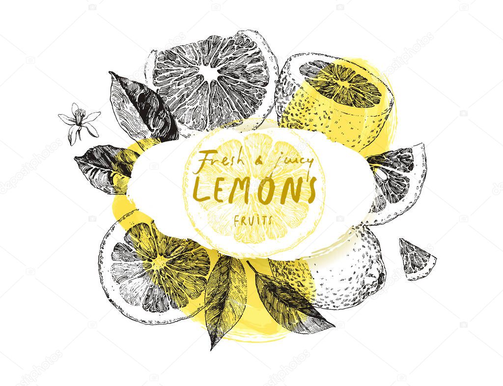 Hand drawn lemon fruits, frame with vintage illustrations, background for label design