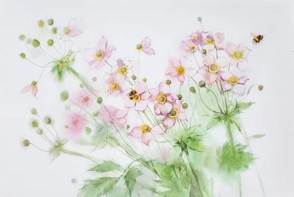 银莲花花和大黄蜂水彩 — 图库照片