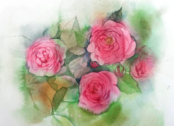 Watercolor roses painting — Stock Photo, Image