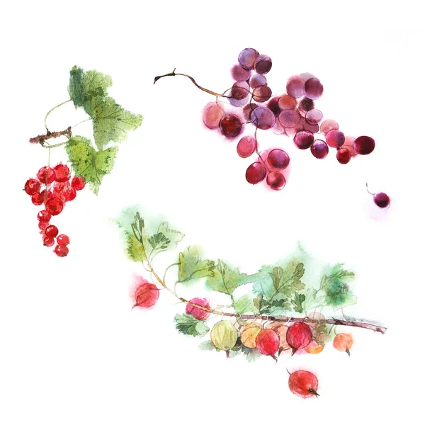 çilek suluboya resim ayarlama