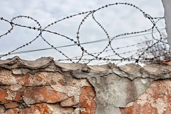 Brick wall with barbed-wire — Stock Photo, Image