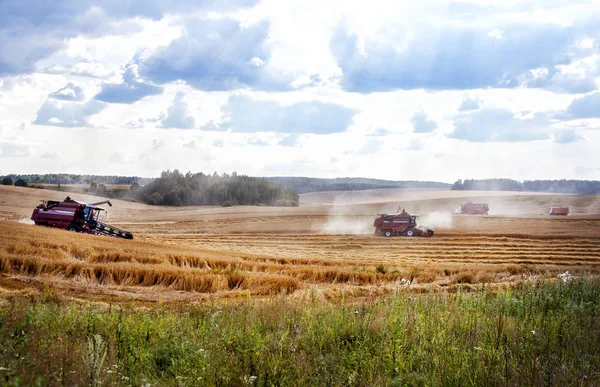 Stroj Kombajn na sklizeň pšenice pole — Stock fotografie