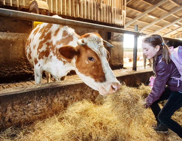 Niño en una granja de leche ecológica — Foto de Stock