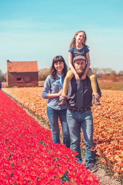 Happy Liefdevolle Familie Met Een Kind Een Nederlandse Tulpen Veld — Stockfoto
