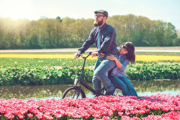 幸福恩爱的夫妻在春天骑自行车穿过一个典型的荷兰郁金香字段 图库图片