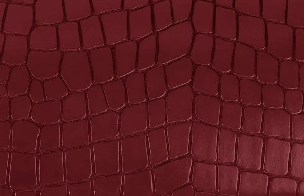 Red leather texture background — Stock Photo, Image