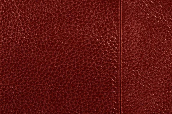 Fond texture cuir rouge — Photo