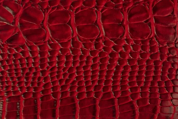 kırmızı deri doku arkaplanı
