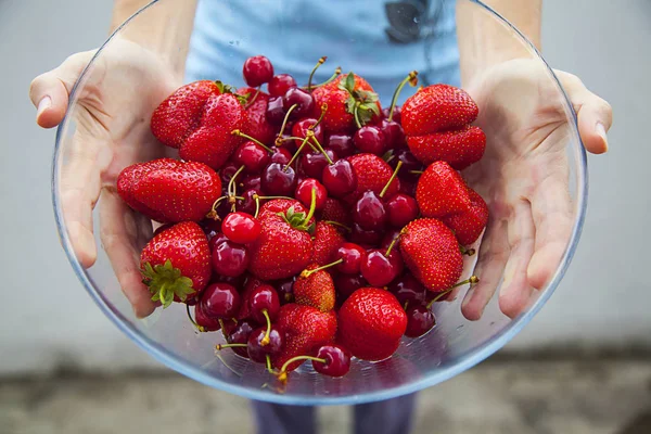 Fresh ripe berries — Stock Photo, Image