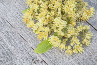 yaz çiçek arka plan