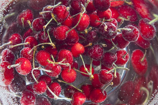 Cerezas rojas en agua — Foto de Stock