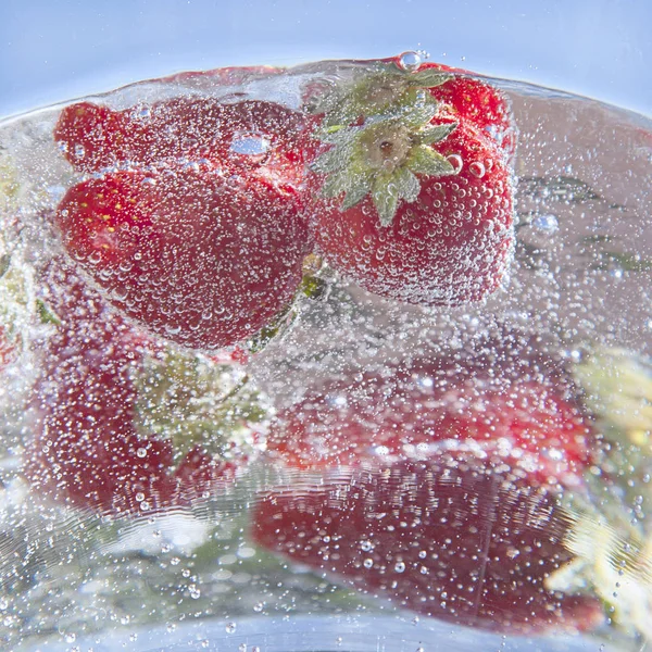 Red berries in water — Stock Photo, Image