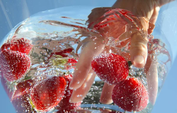 Catching red berries — Stock Photo, Image
