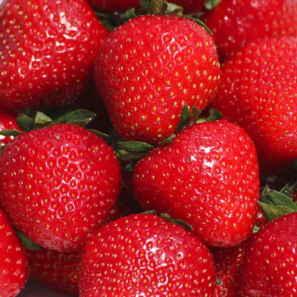 Red ripe berries — Stock Photo, Image