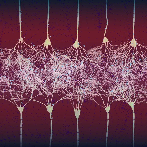 Neuronenzellen bilden Netz — Stockvektor