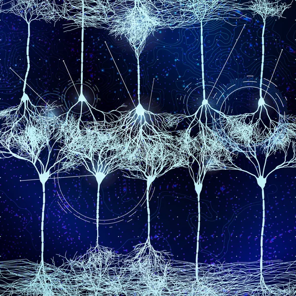 Cellules neuronales formant un réseau — Image vectorielle