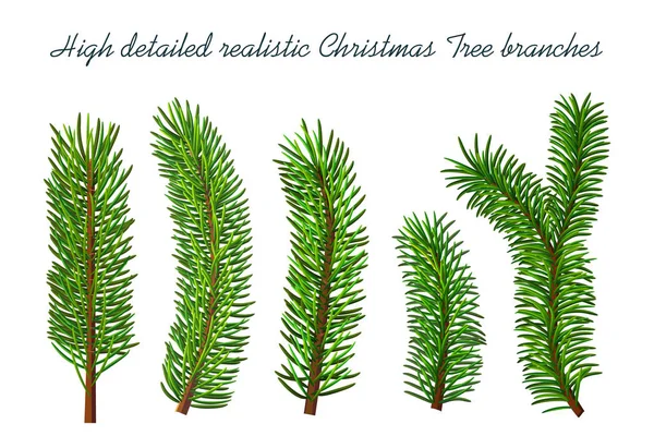 Rami di albero di Natale isolati — Vettoriale Stock